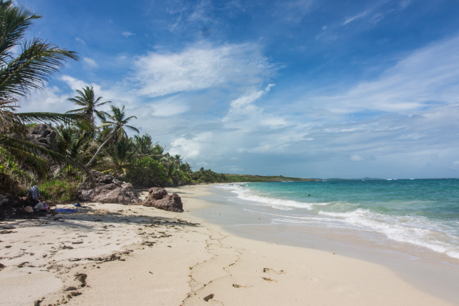 que faire en martinique