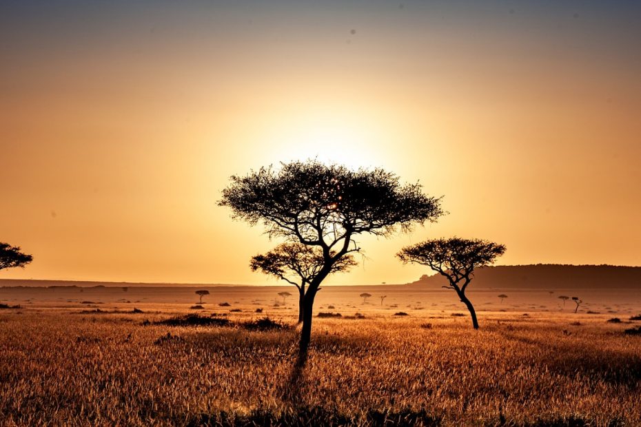 Quand partir au Kenya ?