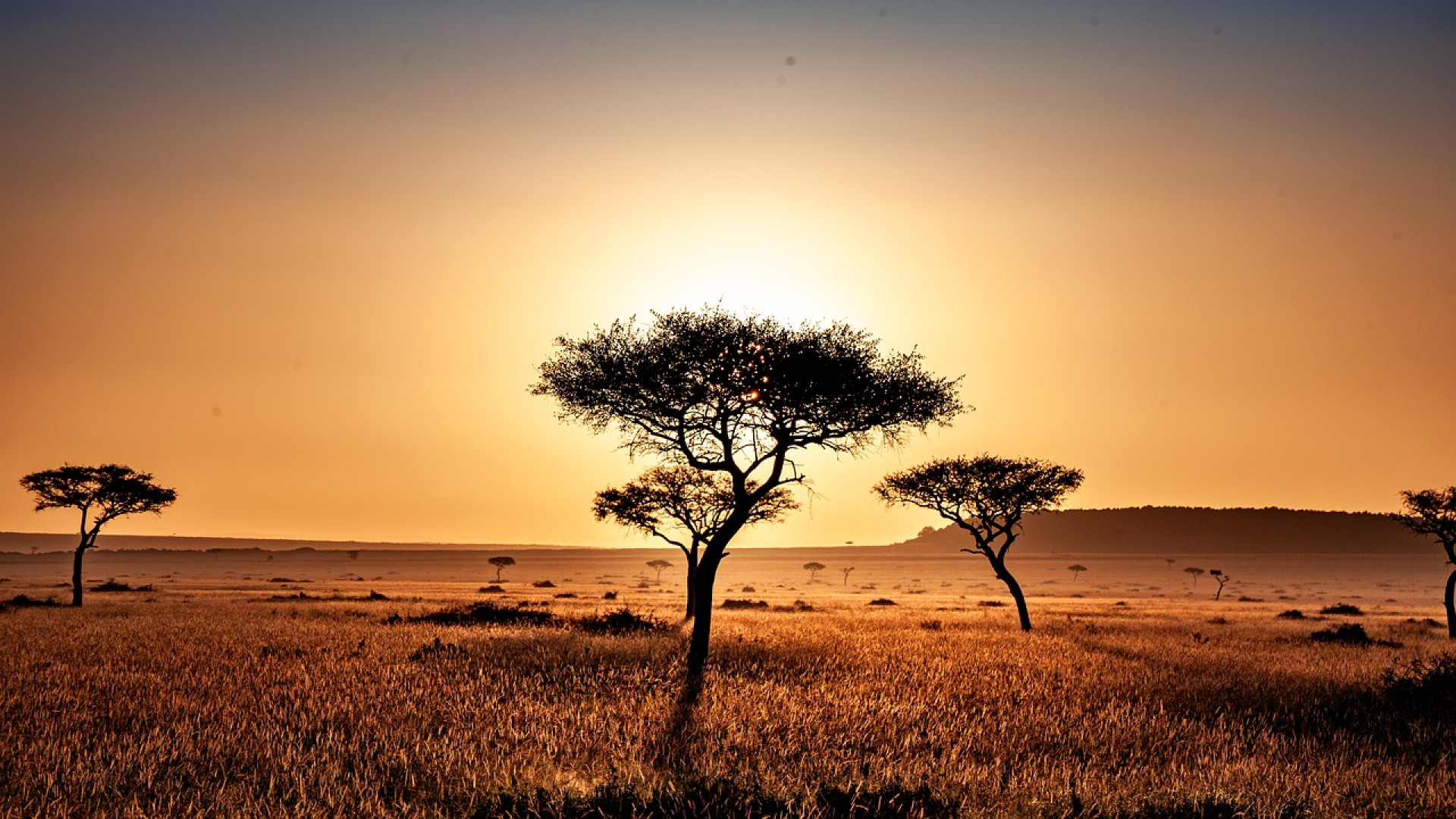 quand-partir-au-kenya