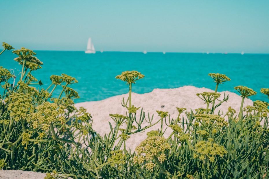 Explorez la Charente-Maritime et ses activités passionnantes !
